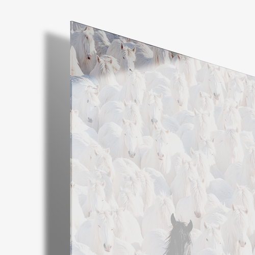 Born To Be Different - Glass