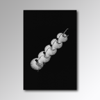 Graceful Five - Glass