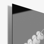 Graceful Five - Glass