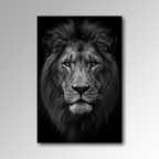 Midnight King - Glass