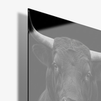 Midnight Bull - Glass