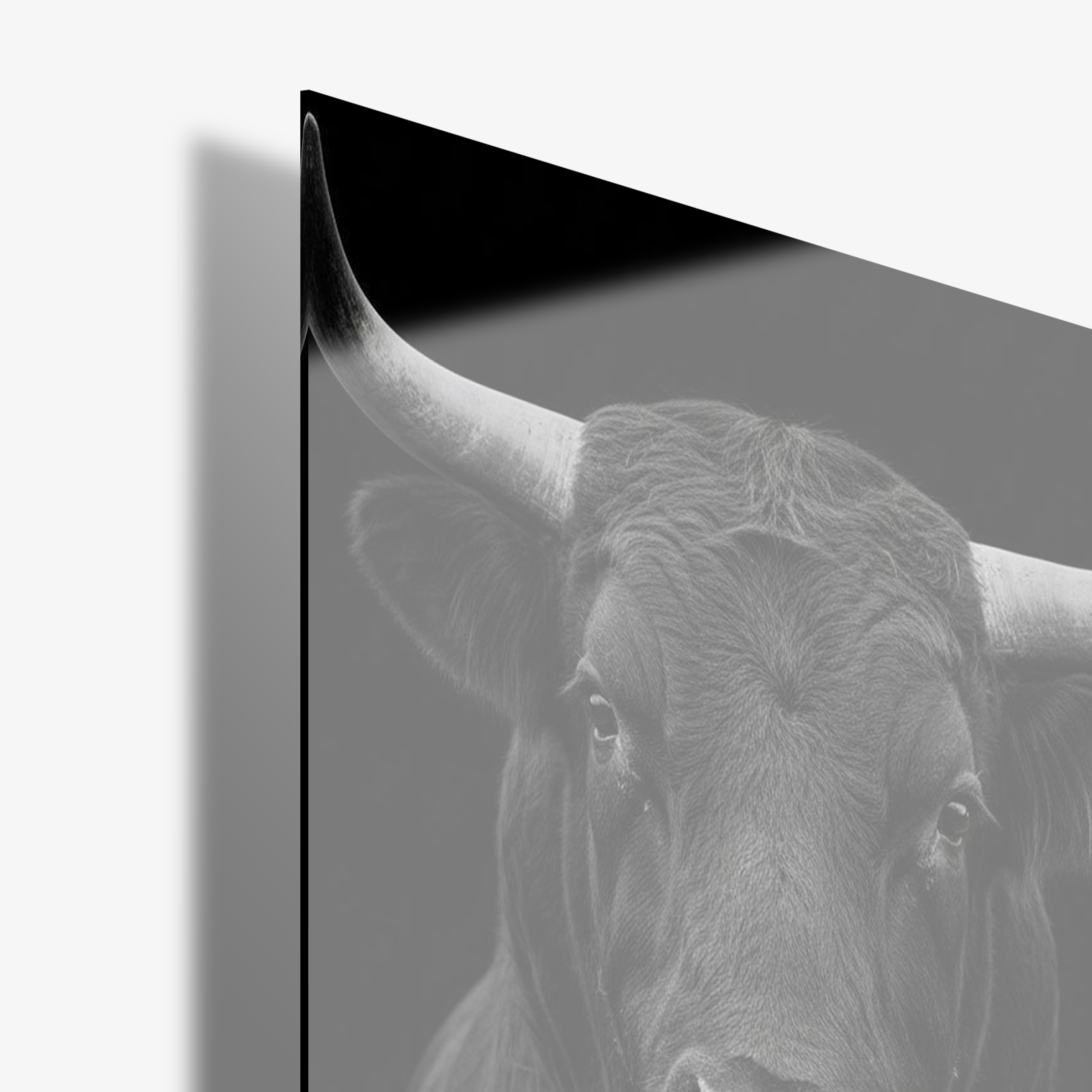 Midnight Bull - Glass