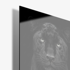 Midnight Hunter - Glass