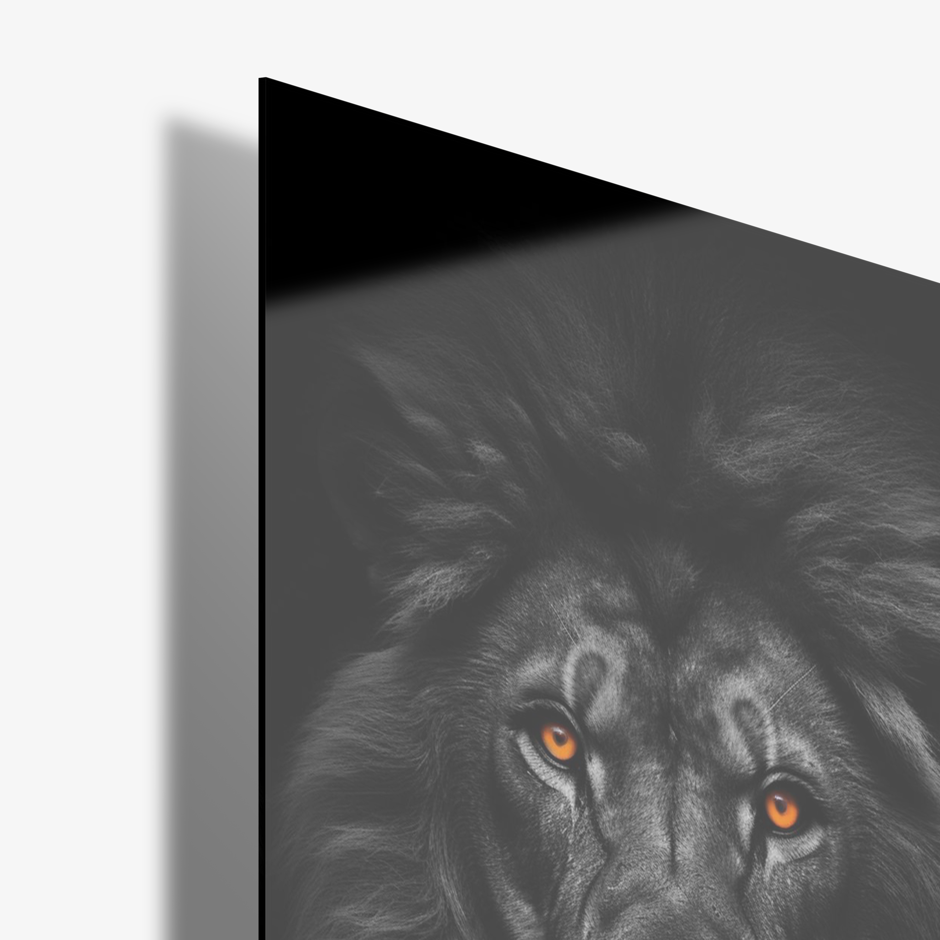 The Black Lion - Glass