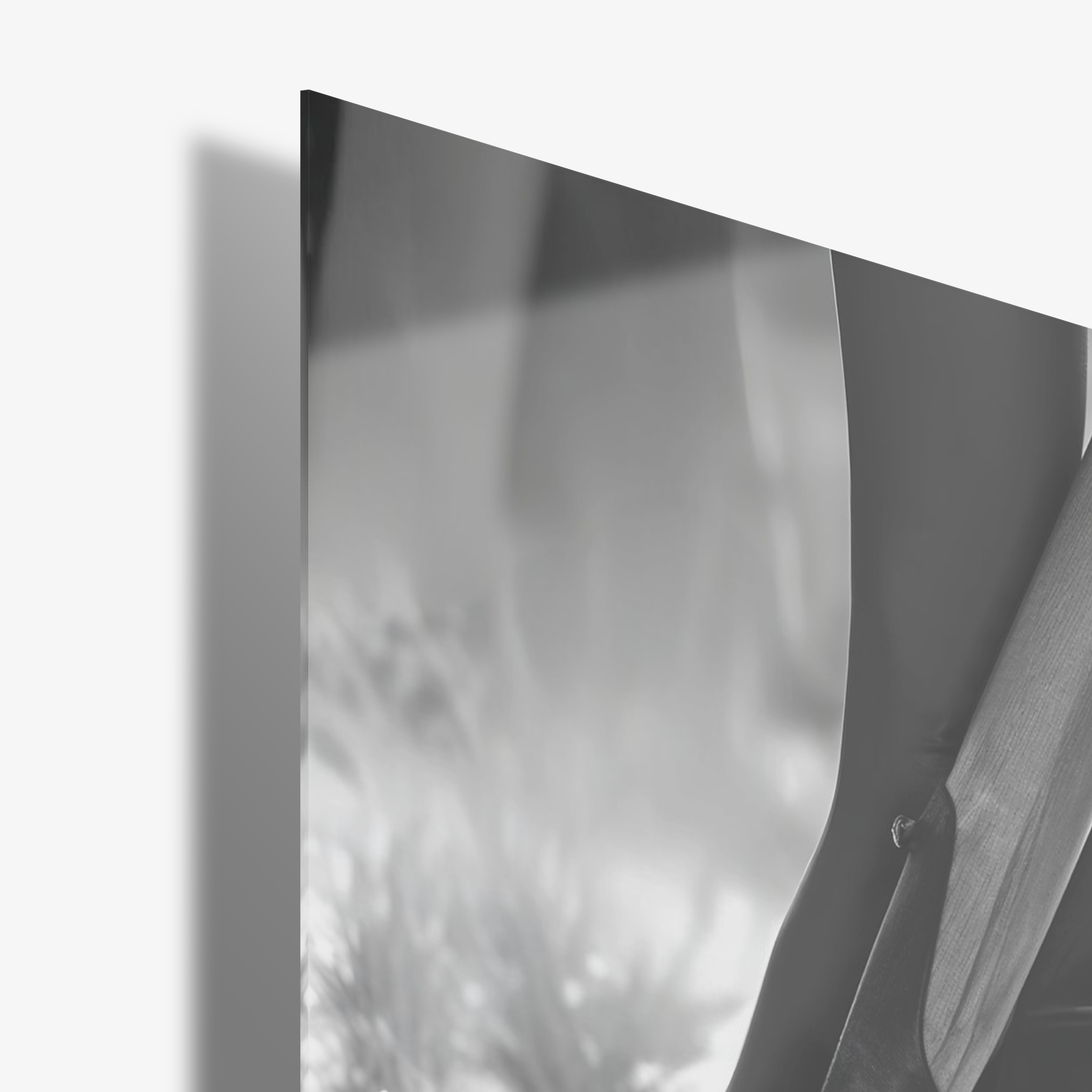 The Lady's Secret - Glass