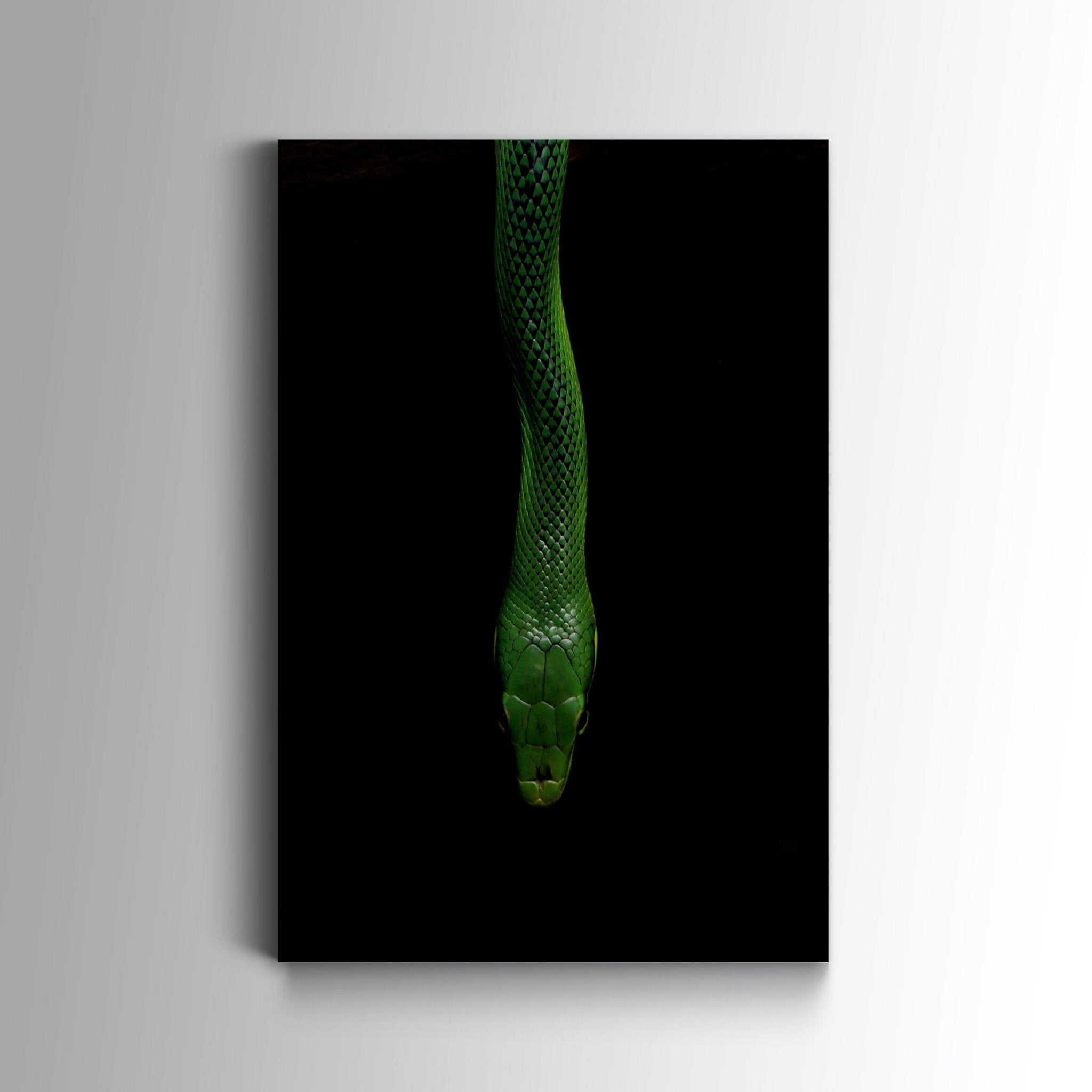 Green Venom - Glas - Gallery Empire