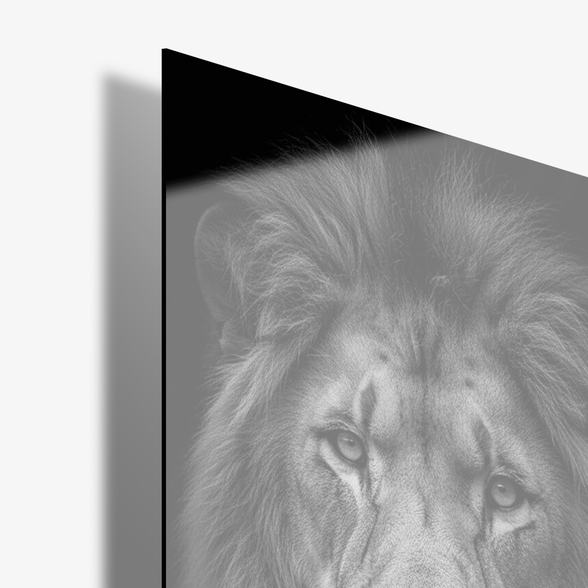 Midnight King - Glas - Gallery Empire