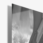 The Lady's Secret - Glas - Gallery Empire